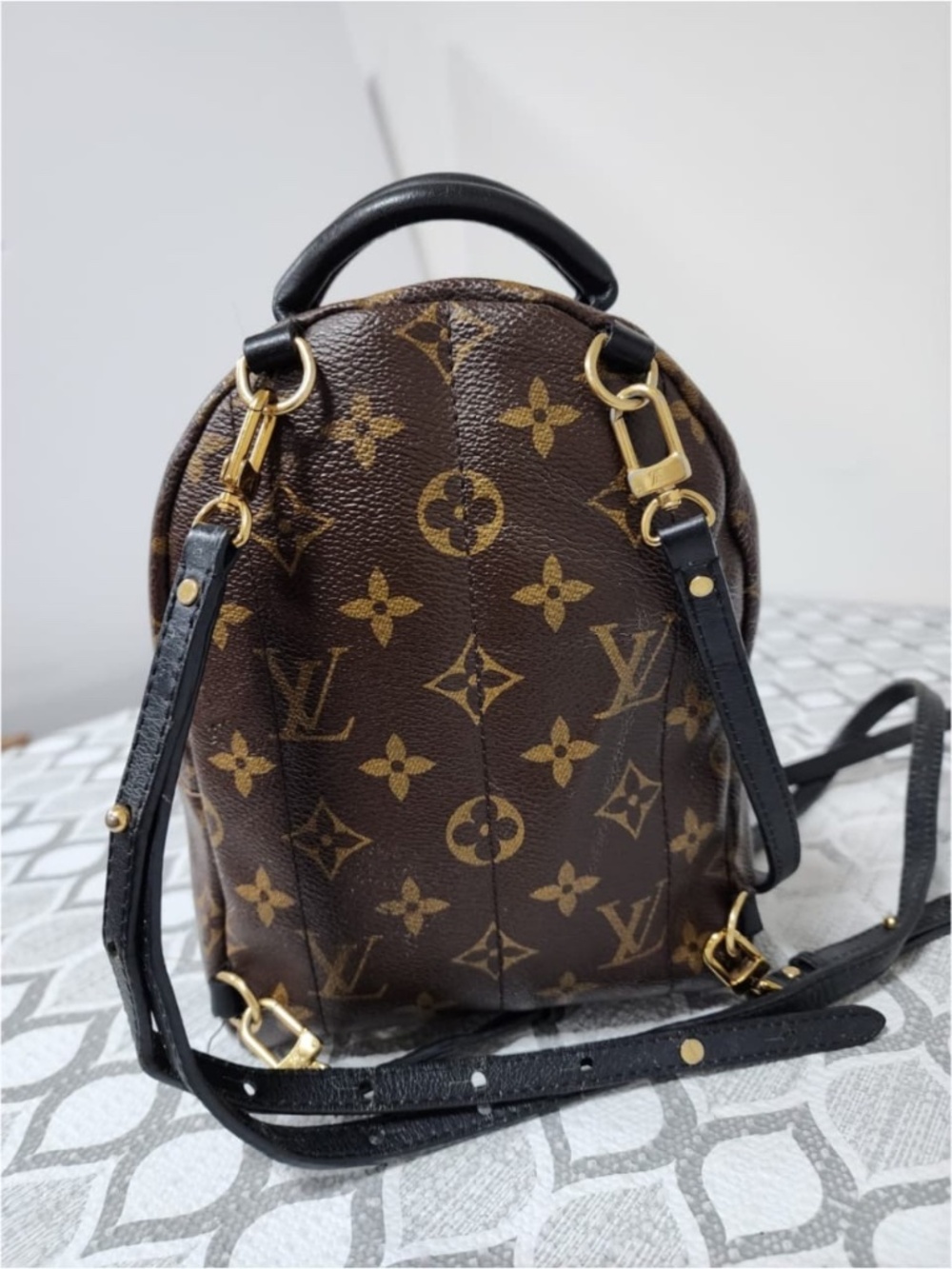 Authentic LOUIS VUITTON Monogram Palm Springs Mini Backpack Brown - Picture 4 of 16